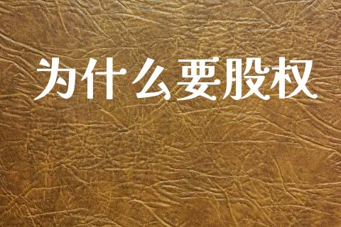 为什么要股权_https://www.lcjysmgs.com_恒指直播平台_第1张