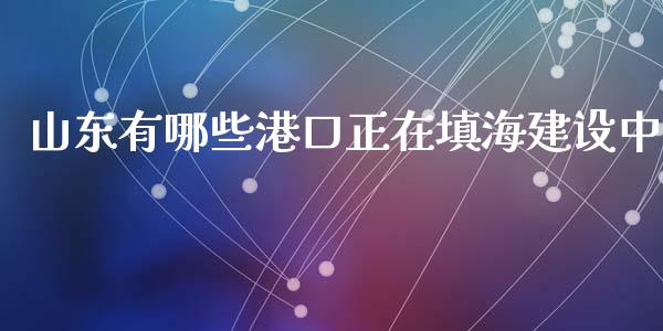 山东有哪些港口正在填海建设中_https://www.lcjysmgs.com_德指行情直播_第1张