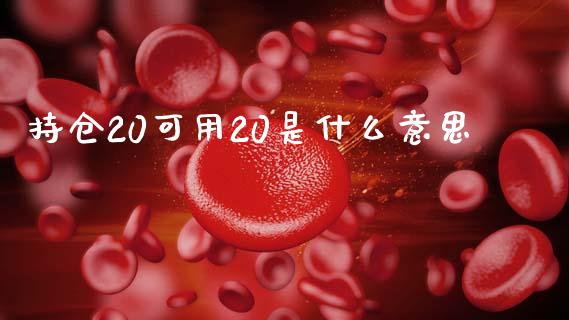 持仓20可用20是什么意思_https://www.lcjysmgs.com_恒生指数直播_第1张