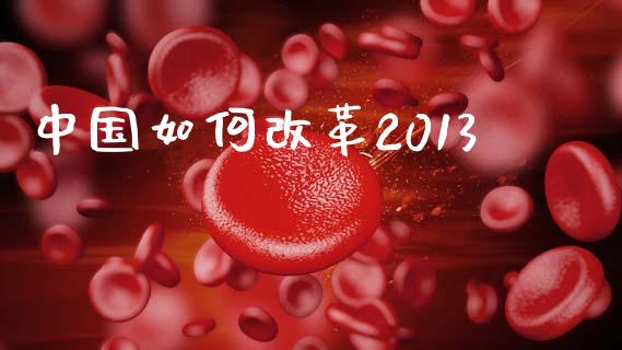 中国如何改革2013_https://www.lcjysmgs.com_黄金期货直播喊单_第1张