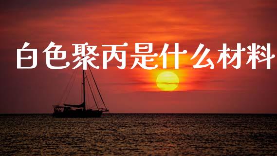 白色聚丙是什么材料_https://www.lcjysmgs.com_黄金期货直播喊单_第1张
