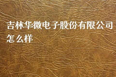 吉林华微电子股份有限公司怎么样_https://www.lcjysmgs.com_黄金期货直播喊单_第1张