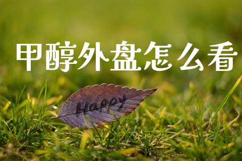 甲醇外盘怎么看_https://www.lcjysmgs.com_德指行情直播_第1张
