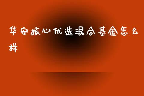 华安核心优选混合基金怎么样_https://www.lcjysmgs.com_黄金期货直播喊单_第1张
