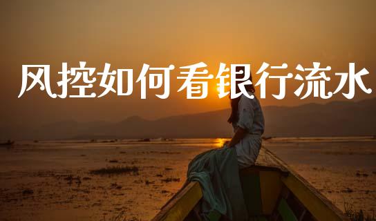 风控如何看银行流水_https://www.lcjysmgs.com_黄金期货直播喊单_第1张