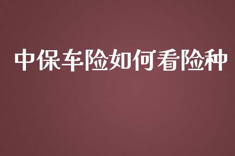 中保车险如何看险种_https://www.lcjysmgs.com_黄金期货直播喊单_第1张