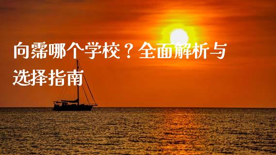 向霈哪个学校？全面解析与选择指南_https://www.lcjysmgs.com_黄金期货直播喊单_第1张