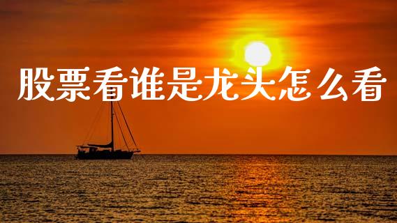 股票看谁是龙头怎么看_https://www.lcjysmgs.com_恒生指数直播_第1张