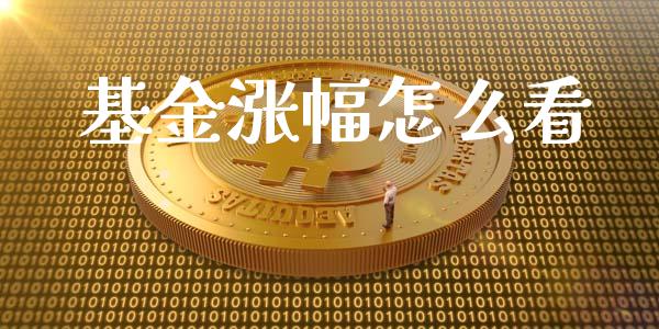 基金涨幅怎么看_https://www.lcjysmgs.com_恒指直播平台_第1张