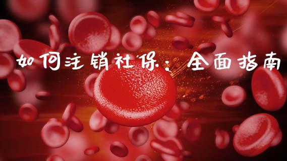 如何注销社保：全面指南_https://www.lcjysmgs.com_德指行情直播_第1张