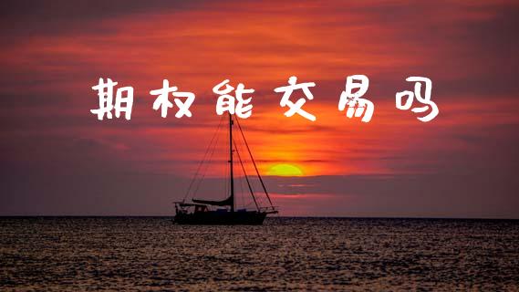期权能交易吗_https://www.lcjysmgs.com_德指行情直播_第1张