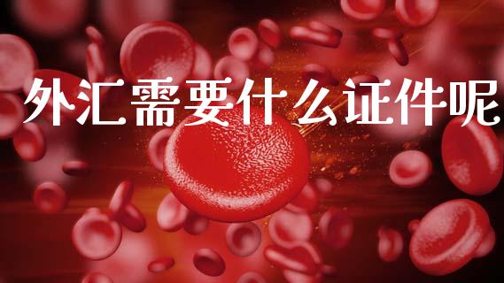 外汇需要什么证件呢_https://www.lcjysmgs.com_德指行情直播_第1张
