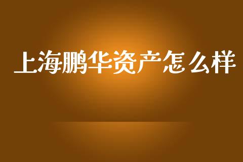 上海鹏华资产怎么样_https://www.lcjysmgs.com_黄金期货直播喊单_第1张