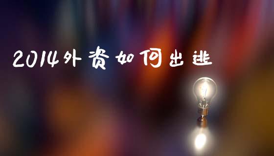 2014外资如何出逃_https://www.lcjysmgs.com_恒指直播平台_第1张