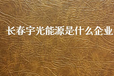 长春宇光能源是什么企业_https://www.lcjysmgs.com_恒生指数直播_第1张