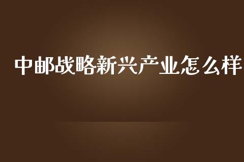 中邮战略新兴产业怎么样_https://www.lcjysmgs.com_黄金期货直播喊单_第1张