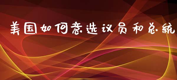 美国如何意选议员和总统_https://www.lcjysmgs.com_恒生指数直播_第1张