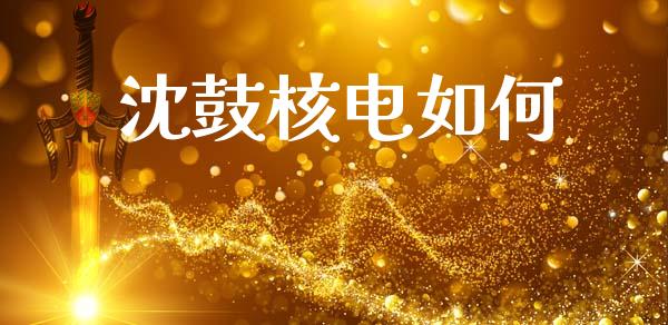 沈鼓核电如何_https://www.lcjysmgs.com_黄金期货直播喊单_第1张