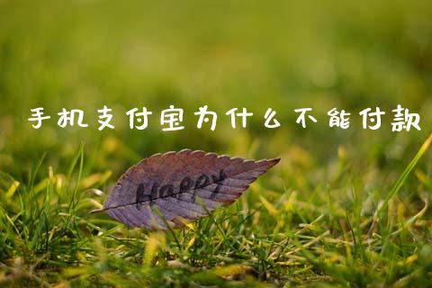 手机支付宝为什么不能付款_https://www.lcjysmgs.com_德指行情直播_第1张