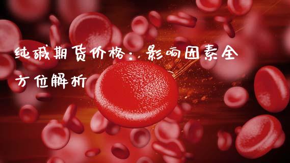 纯碱期货价格：影响因素全方位解析_https://www.lcjysmgs.com_德指行情直播_第1张