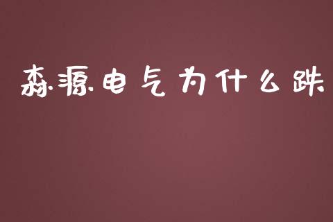 森源电气为什么跌_https://www.lcjysmgs.com_恒生指数直播_第1张