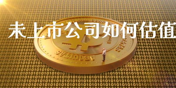未上市公司如何估值_https://www.lcjysmgs.com_黄金期货直播喊单_第1张