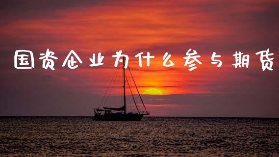 国资企业为什么参与期货_https://www.lcjysmgs.com_恒生指数直播_第1张