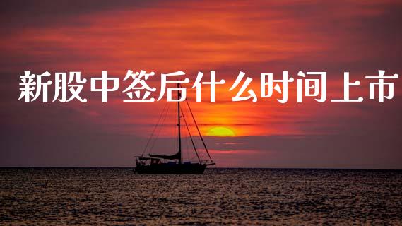 新股中签后什么时间上市_https://www.lcjysmgs.com_恒生指数直播_第1张