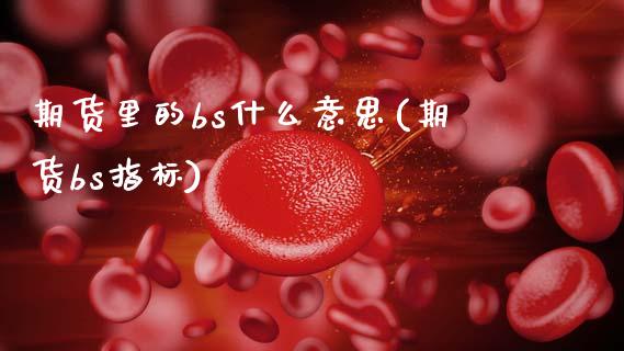 期货里的bs什么意思(期货bs指标)_https://www.lcjysmgs.com_黄金期货直播喊单_第1张
