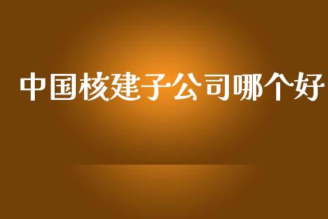 中国核建子公司哪个好_https://www.lcjysmgs.com_黄金期货直播喊单_第1张