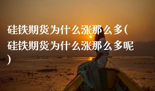 硅铁期货为什么涨那么多(硅铁期货为什么涨那么多呢)_https://www.lcjysmgs.com_恒指直播平台_第1张