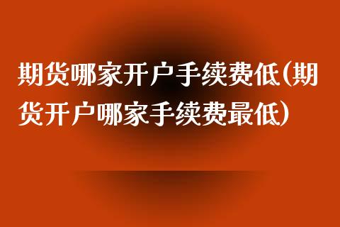 期货哪家开户手续费低(期货开户哪家手续费最低)_https://www.lcjysmgs.com_恒生指数直播_第1张