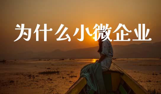 为什么小微企业_https://www.lcjysmgs.com_恒生指数直播_第1张