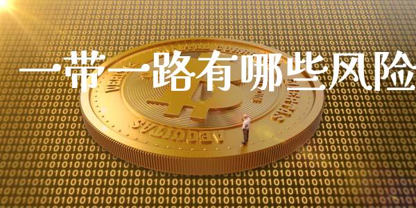 一带一路有哪些风险_https://www.lcjysmgs.com_黄金期货直播喊单_第1张