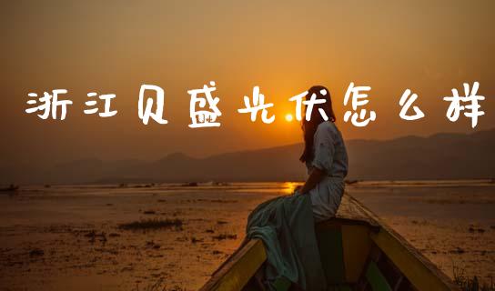 浙江贝盛光伏怎么样_https://www.lcjysmgs.com_德指行情直播_第1张