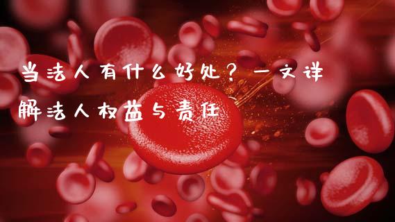 当法人有什么好处？一文详解法人权益与责任_https://www.lcjysmgs.com_恒指直播平台_第1张