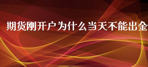 期货刚开户为什么当天不能出金_https://www.lcjysmgs.com_黄金期货直播喊单_第1张