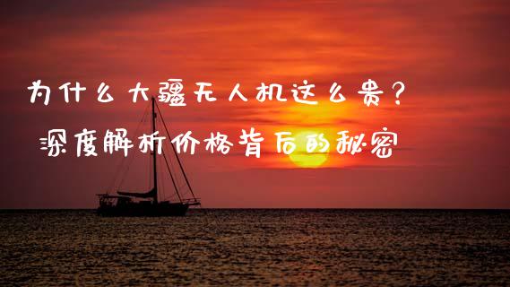 为什么大疆无人机这么贵？ 深度解析价格背后的秘密_https://www.lcjysmgs.com_黄金期货直播喊单_第1张