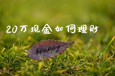 20万现金如何理财_https://www.lcjysmgs.com_恒生指数直播_第1张