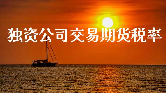 独资公司交易期货税率_https://www.lcjysmgs.com_恒指直播平台_第1张
