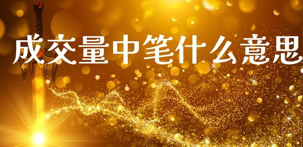 成交量中笔什么意思_https://www.lcjysmgs.com_恒生指数直播_第1张