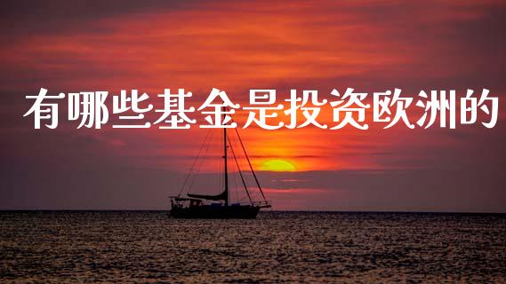 有哪些基金是投资欧洲的_https://www.lcjysmgs.com_黄金期货直播喊单_第1张