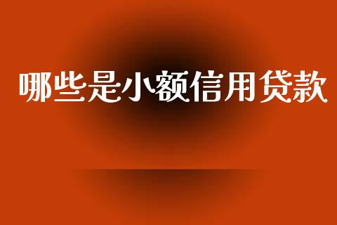 哪些是小额信用贷款_https://www.lcjysmgs.com_黄金期货直播喊单_第1张