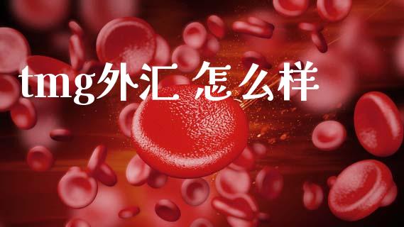 tmg外汇 怎么样_https://www.lcjysmgs.com_黄金期货直播喊单_第1张