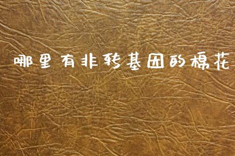 哪里有非转基因的棉花_https://www.lcjysmgs.com_恒生指数直播_第1张