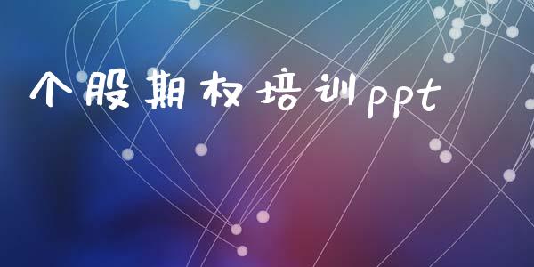 个股期权培训ppt_https://www.lcjysmgs.com_恒生指数直播_第1张