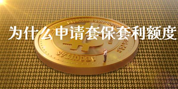 为什么申请套保套利额度_https://www.lcjysmgs.com_恒指直播平台_第1张