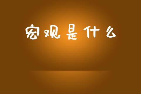 宏观是什么_https://www.lcjysmgs.com_黄金期货直播喊单_第1张