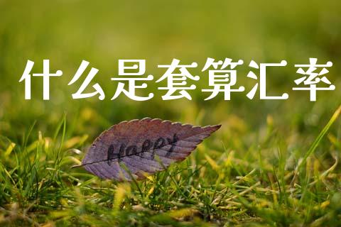 什么是套算汇率_https://www.lcjysmgs.com_德指行情直播_第1张