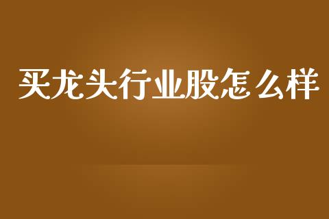 买龙头行业股怎么样_https://www.lcjysmgs.com_黄金期货直播喊单_第1张